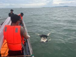 Warga Tanjab Timur Ditemukan Tewas Mengapung Tanpa Kepala di Kepulauan Riau