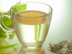 Menyeruput Keistimewaan Dalam Secangkir Teh Putih