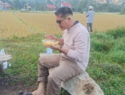 Hoax dan Pembodohan Terstruktur, Taktik Panik dan Manipulasi dalam Pertarungan Politik