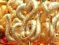 “Ramalan” Keberuntungan dan Tantangan Berbagai Shio di Tahun Ular Kayu