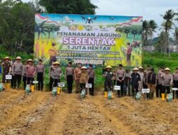 Gubernur Al Haris Bersama Kapolda Ikut Tanam Jagung Serentak 1 Juta Hektar
