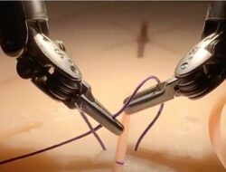 Profesi Dokter Terancam Punah, Peneliti Beberkan Buktinya