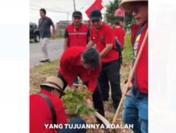Peringati Hari Ulang Tahun Megawati, Kader PDI-P Jambi Tanam Pohon