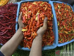 PIHPS: Harga Bawang Merah Rp38.350/kg dan Cabai Rawit Rp64.350/kg