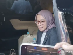Menteri PANRB Sebut Pengangkatan CPNS pada Oktober 2025
