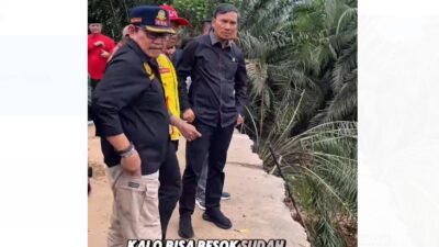 Anggota DPR RI Edi Purwanto Tinjau Langsung Pemasangan Bailey di Jalinsum Jambi-Padang