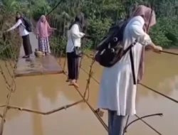 Dikampung Gubernur Al Haris, Video Guru Seberangi Jembatan Rusak di Merangin Viral di Jagat Maya