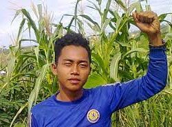 Pahlawan Petani – Mengukir Kemerdekaan di Ladang Perjuangan